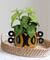 8" Brown and Black Hand Painted Stoneware Planter with Handles